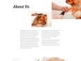 dog-grooming-about-page-116x87.jpg